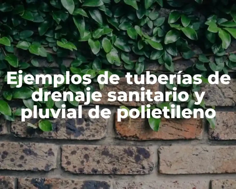 Ejemplos de tuberías de drenaje sanitario y pluvial de polietileno