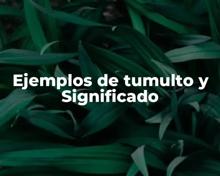 Ejemplos de tumulto y Significado