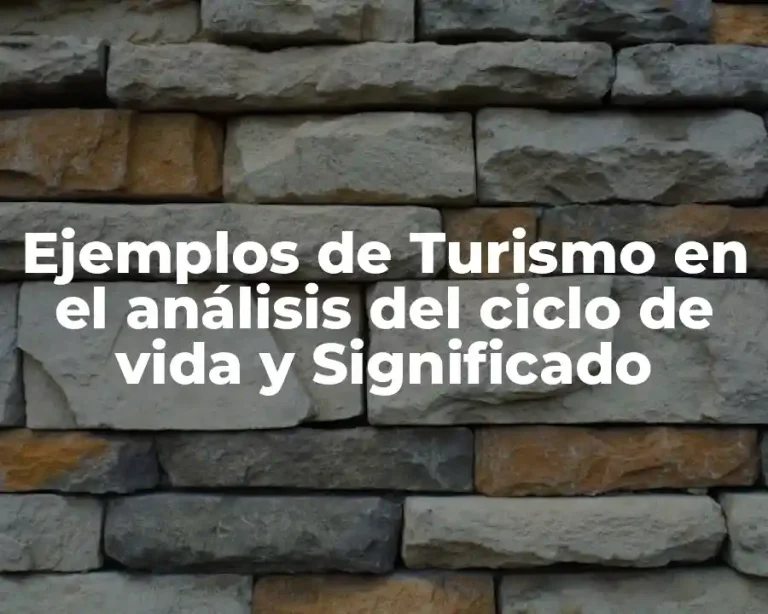 Ejemplos de Turismo en el análisis del ciclo de vida y Significado