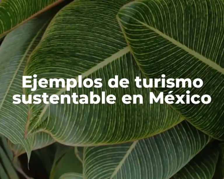 Ejemplos de turismo sustentable en México