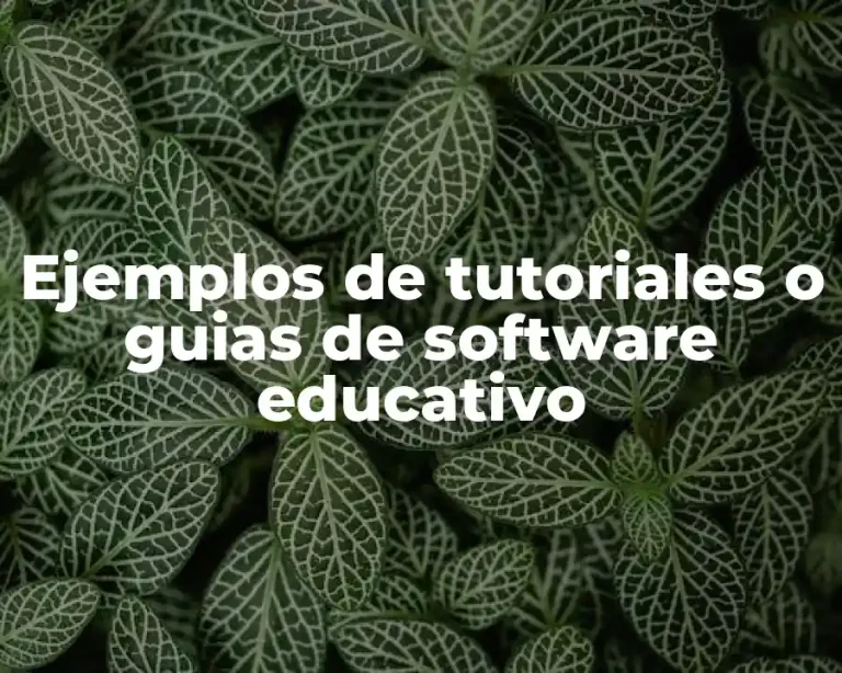 Ejemplos de tutoriales o guias de software educativo