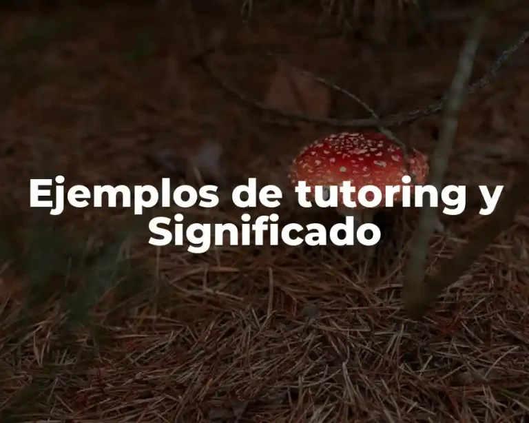 Ejemplos de tutoring y Significado