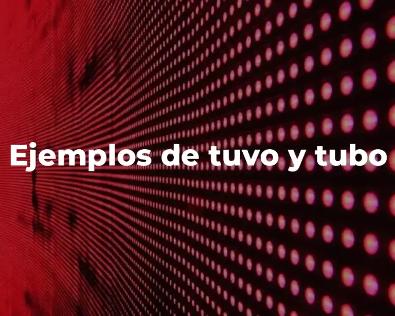 Ejemplos de tuvo y tubo