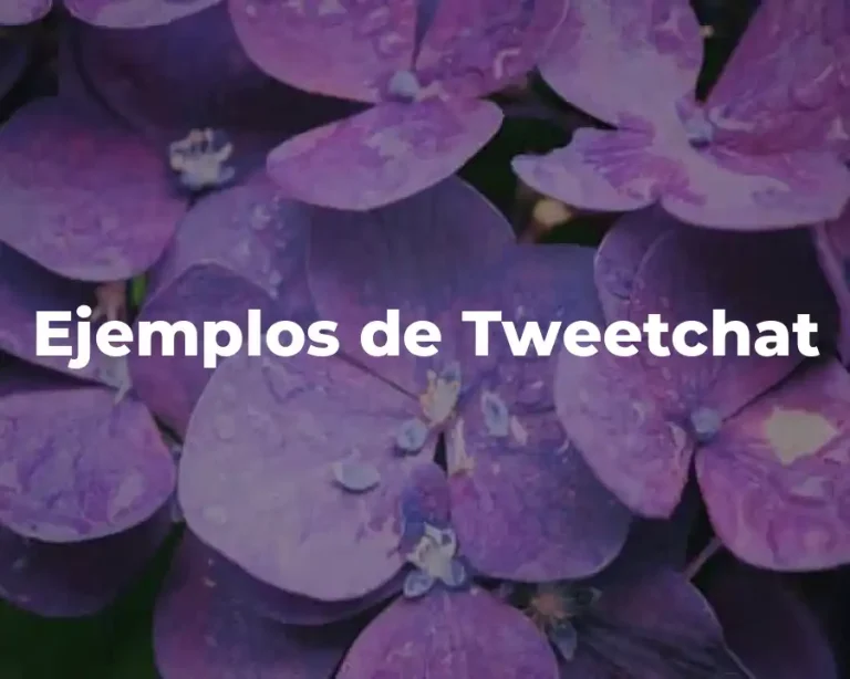 Ejemplos de Tweetchat
