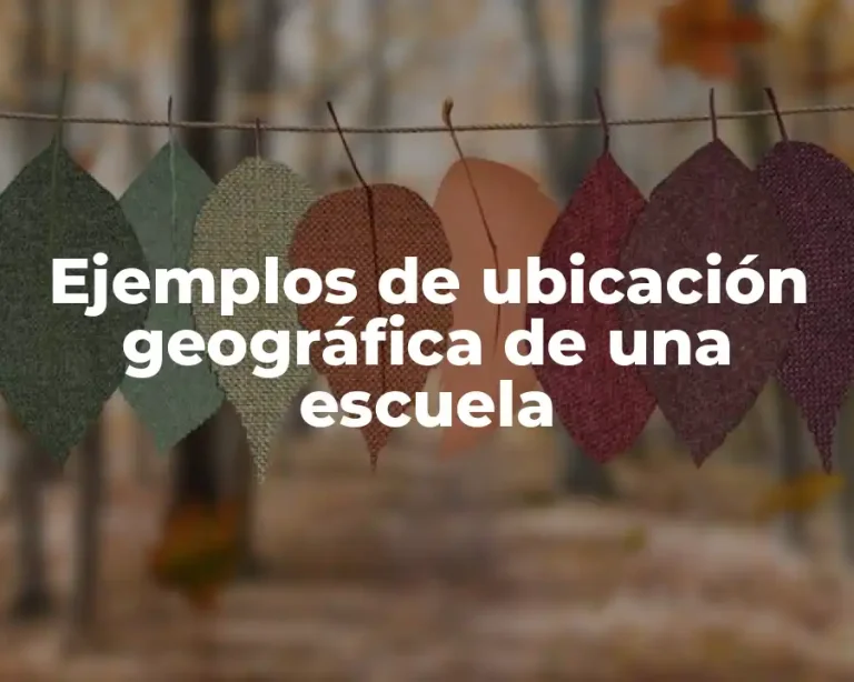 Ejemplos de ubicación geográfica de una escuela