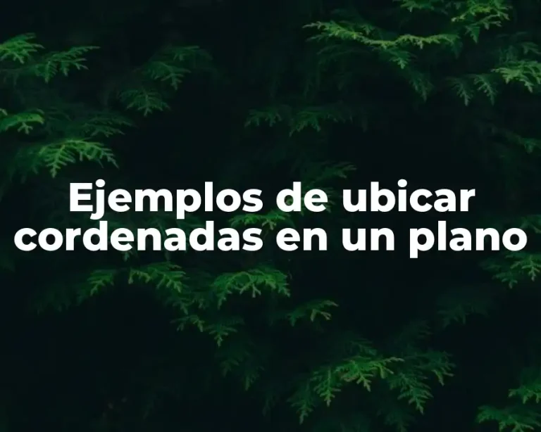 Ejemplos de ubicar cordenadas en un plano