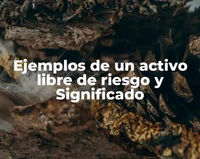 Ejemplos de un activo libre de riesgo y Significado
