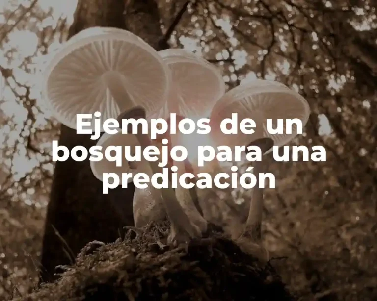 Ejemplos de un bosquejo para una predicación