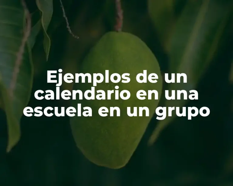 Ejemplos de un calendario en una escuela en un grupo