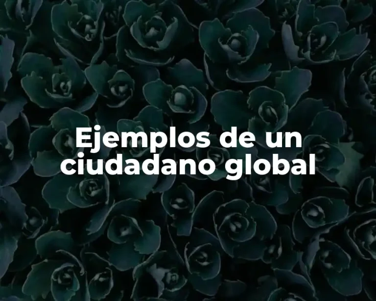 Ejemplos de un ciudadano global