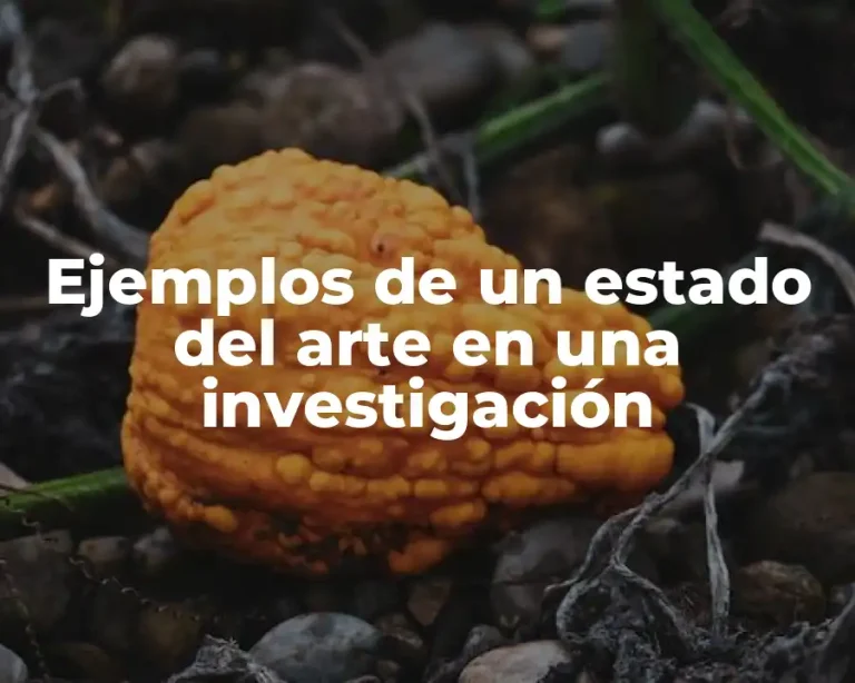 Ejemplos de un estado del arte en una investigación