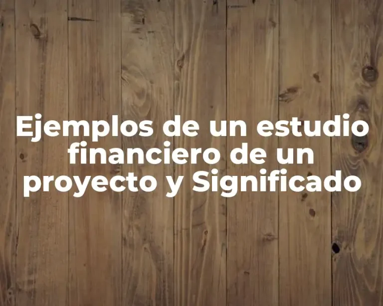 Ejemplos de un estudio financiero de un proyecto y Significado