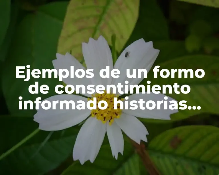 Ejemplos de un formo de consentimiento informado historias orales
