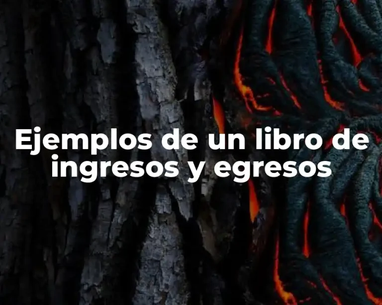 Ejemplos de un libro de ingresos y egresos