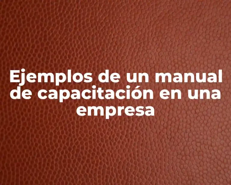 Ejemplos de un manual de capacitación en una empresa