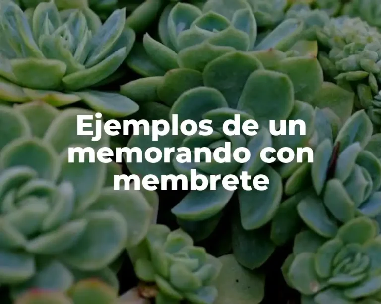 Ejemplos de un memorando con membrete