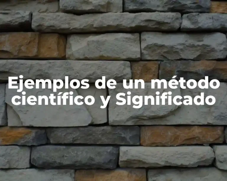Ejemplos de un método científico y Significado