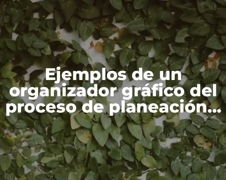 Ejemplos de un organizador gráfico del proceso de planeación estratégica