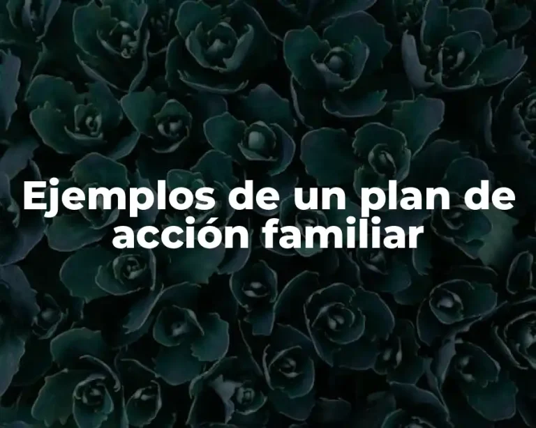 Ejemplos de un plan de acción familiar