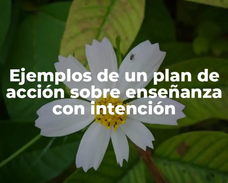 Ejemplos de un plan de acción sobre enseñanza con intención
