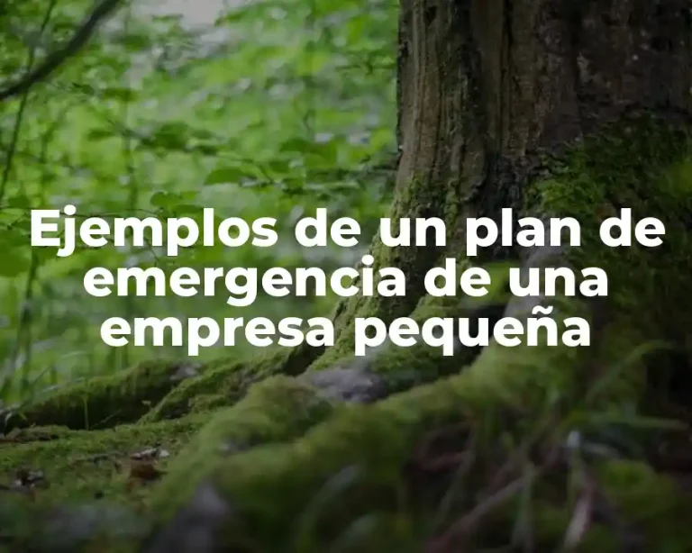 Ejemplos de un plan de emergencia de una empresa pequeña