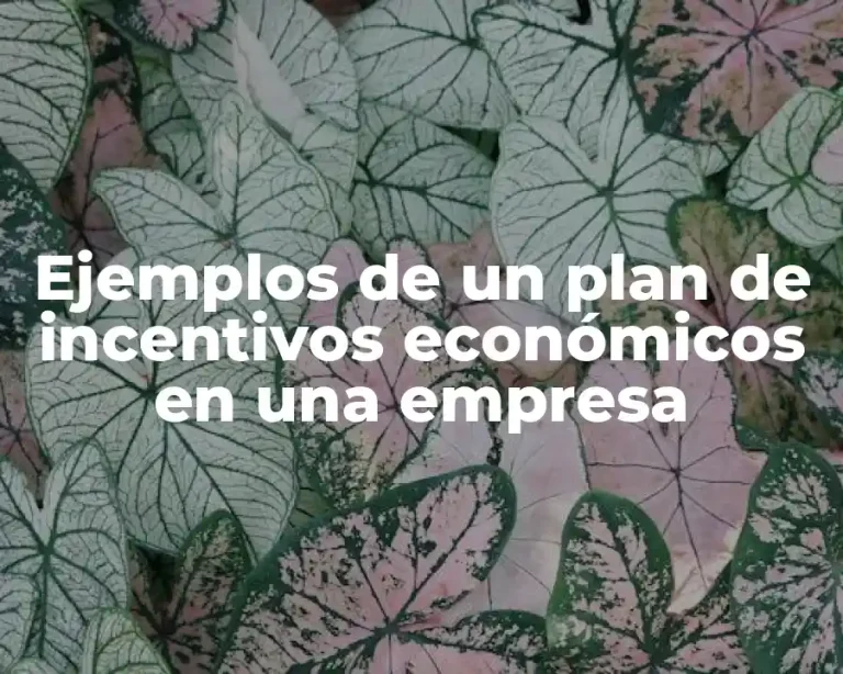 Ejemplos de un plan de incentivos económicos en una empresa