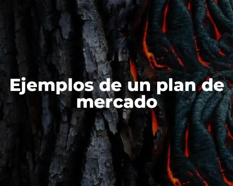 Ejemplos de un plan de mercado