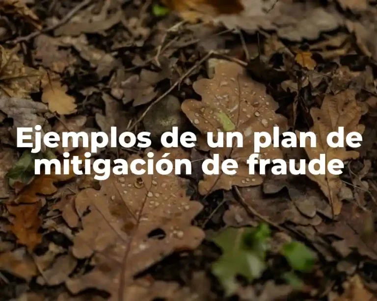 Ejemplos de un plan de mitigación de fraude