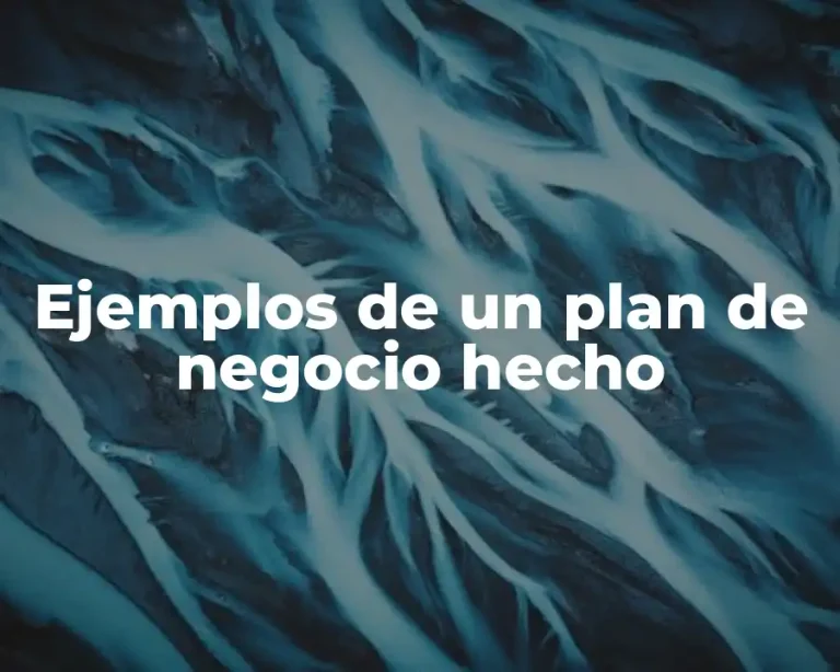 Ejemplos de un plan de negocio hecho