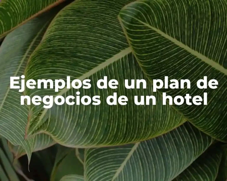 Ejemplos de un plan de negocios de un hotel