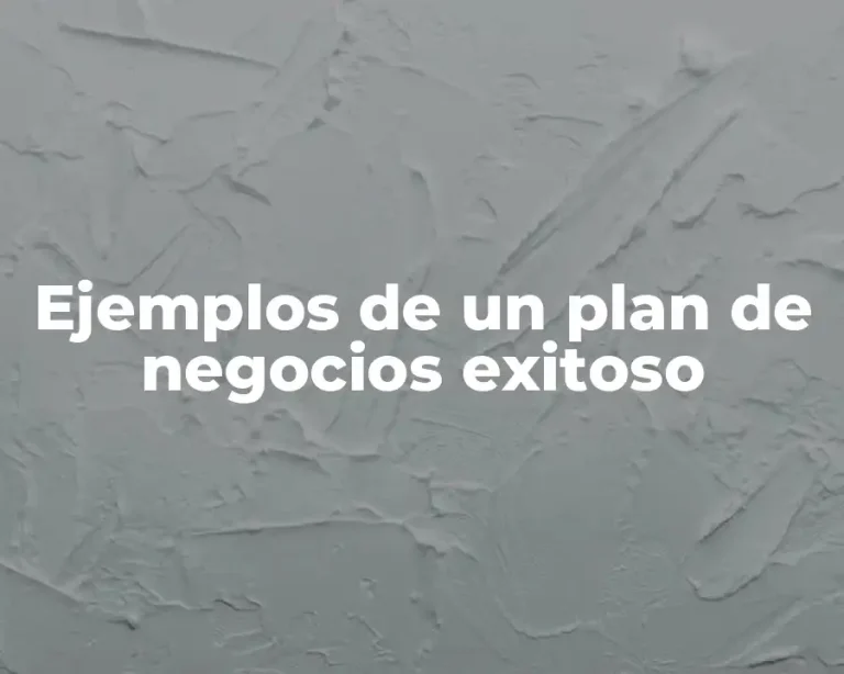 Ejemplos de un plan de negocios exitoso