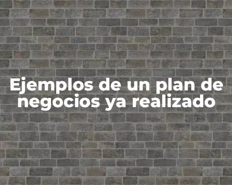 Ejemplos de un plan de negocios ya realizado