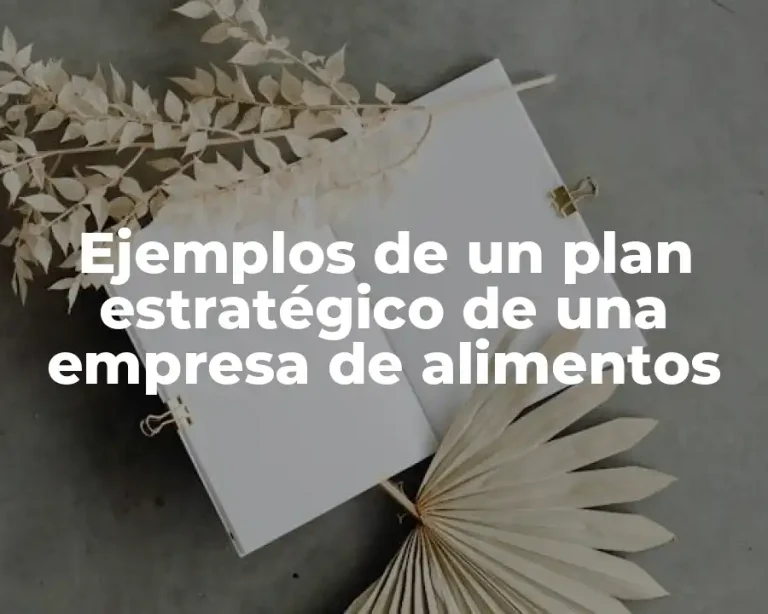Ejemplos de un plan estratégico de una empresa de alimentos