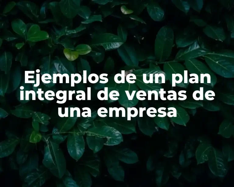 Ejemplos de un plan integral de ventas de una empresa