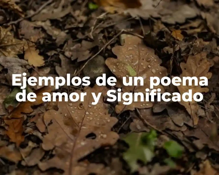 Ejemplos de un poema de amor y Significado