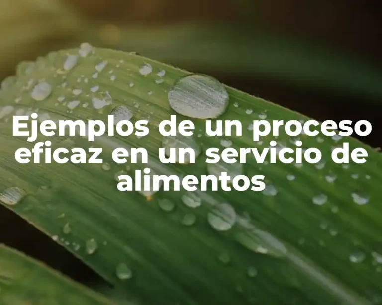 Ejemplos de un proceso eficaz en un servicio de alimentos