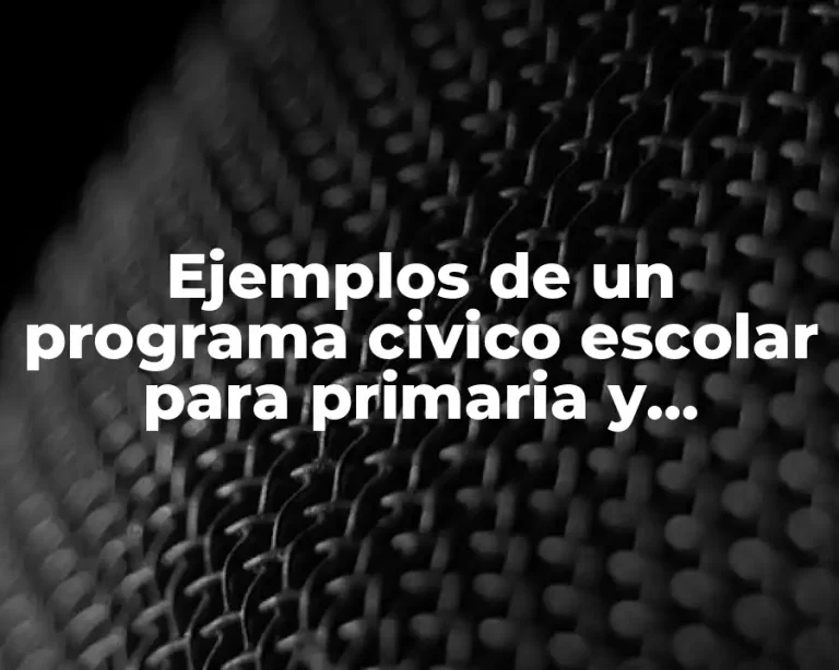 Ejemplos de un programa civico escolar para primaria y Significado
