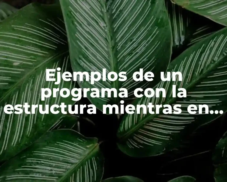 Ejemplos de un programa con la estructura mientras en PSEINT