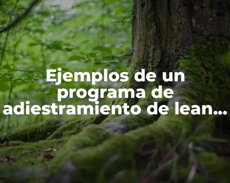 Ejemplos de un programa de adiestramiento de lean manufacturing IBM