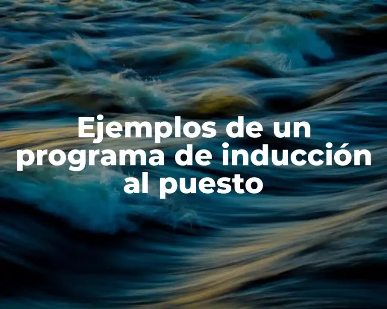 Ejemplos de un programa de inducción al puesto