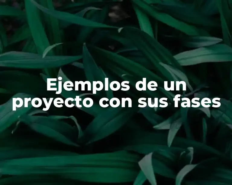 Ejemplos de un proyecto con sus fases