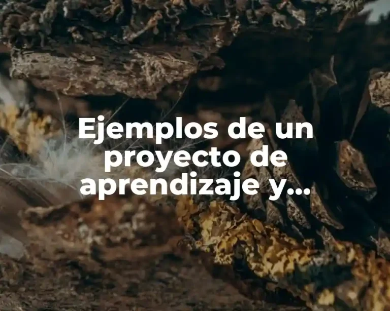 Ejemplos de un proyecto de aprendizaje y Significado