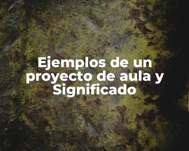 Ejemplos de un proyecto de aula y Significado
