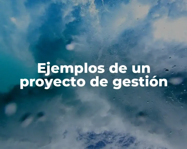 Ejemplos de un proyecto de gestión