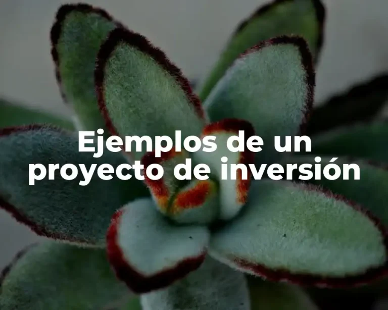Ejemplos de un proyecto de inversión