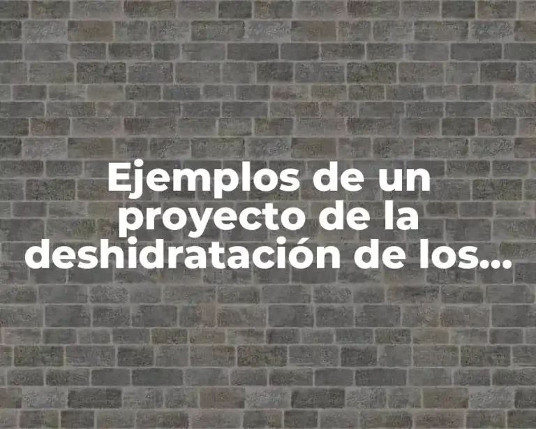 Ejemplos de un proyecto de la deshidratación de los alimentos