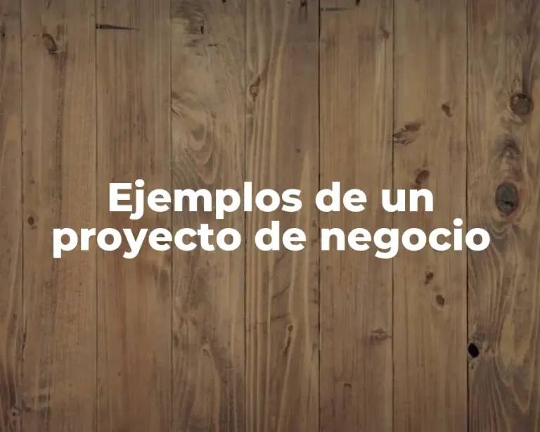 Ejemplos de un proyecto de negocio