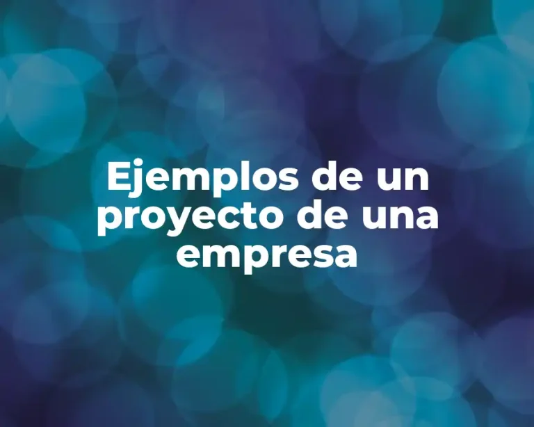Ejemplos de un proyecto de una empresa
