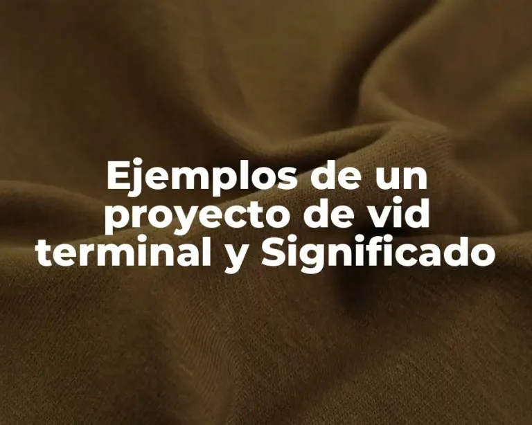 Ejemplos de un proyecto de vid terminal y Significado