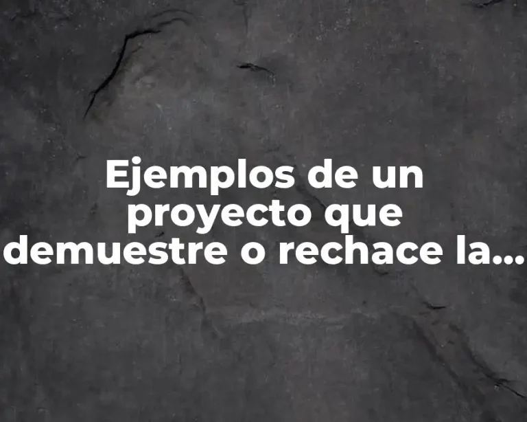Ejemplos de un proyecto que demuestre o rechace la factibilidad